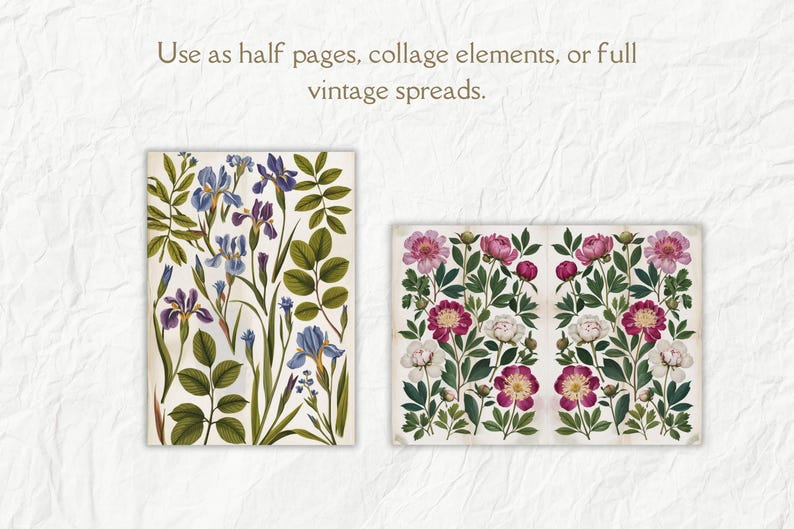 K&ouml;nnte beinhalten: Zwei botanische Illustrationen im Vintage-Stil mit floralen Mustern. Das erste Bild zeigt eine Gruppe blauer Iris mit gr&uuml;nen Bl&auml;ttern. Das zweite Bild zeigt eine Gruppe rosa und wei&szlig;er Pfingstrosen mit gr&uuml;nen Bl&auml;ttern.