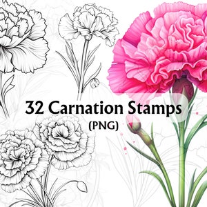 Carimbos Digitais de Cravo, PNG de Cravo, Cravo Desenhado à Mão, Desenho de Cravo, Cravos, Carimbo Digi de Cravo, Criação de Cartões, Scrapbooking