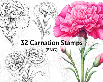 Carnation Digital Stamps, Carnation PNG, Carnation Hand Drawn, Carnation Drawing, Carnations, Carnation Digi Stamp, Card Making,Scrapbooking