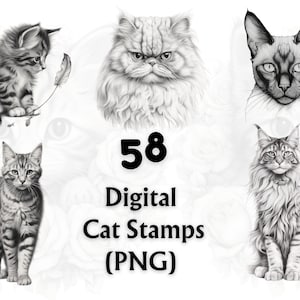 Cat Digital Stamp, Digital Cat Stamps, PNG,  Digital Stamp, Digi Stamp, Cat Clipart, Coloring Page, Card Making, Scrapbooking, Kitten Digi