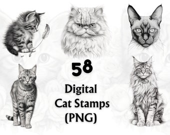 Cat Digital Stamp, Digital Cat Stamps, PNG,  Digital Stamp, Digi Stamp, Cat Clipart, Coloring Page, Card Making, Scrapbooking, Kitten Digi