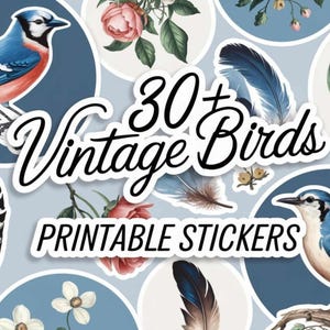 Adesivi stampabili con uccelli vintage, adesivi stampabili per album, adesivi vintage, adesivi per diari spazzatura, uccelli vintage, adesivi con uccelli, uccello