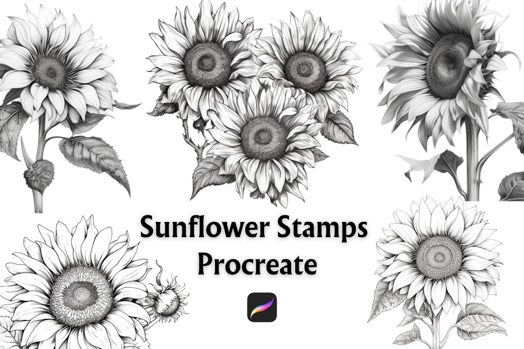 32 Sunflower Procreate Stamps, Procreate Tattoo Stamps, Sunflower ...