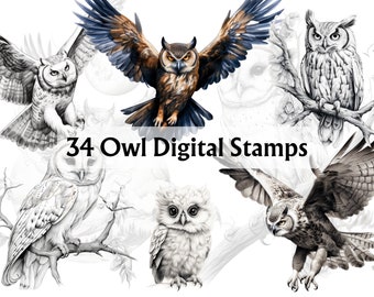 34 Owl Stamps, Owl Clipart, Owl Line art, Whimsical Owl, Owl Stamp Brush, Owl Stamp, Owl Tattoo, Owl Png, Digital Stamps, Owl Digi Stamps