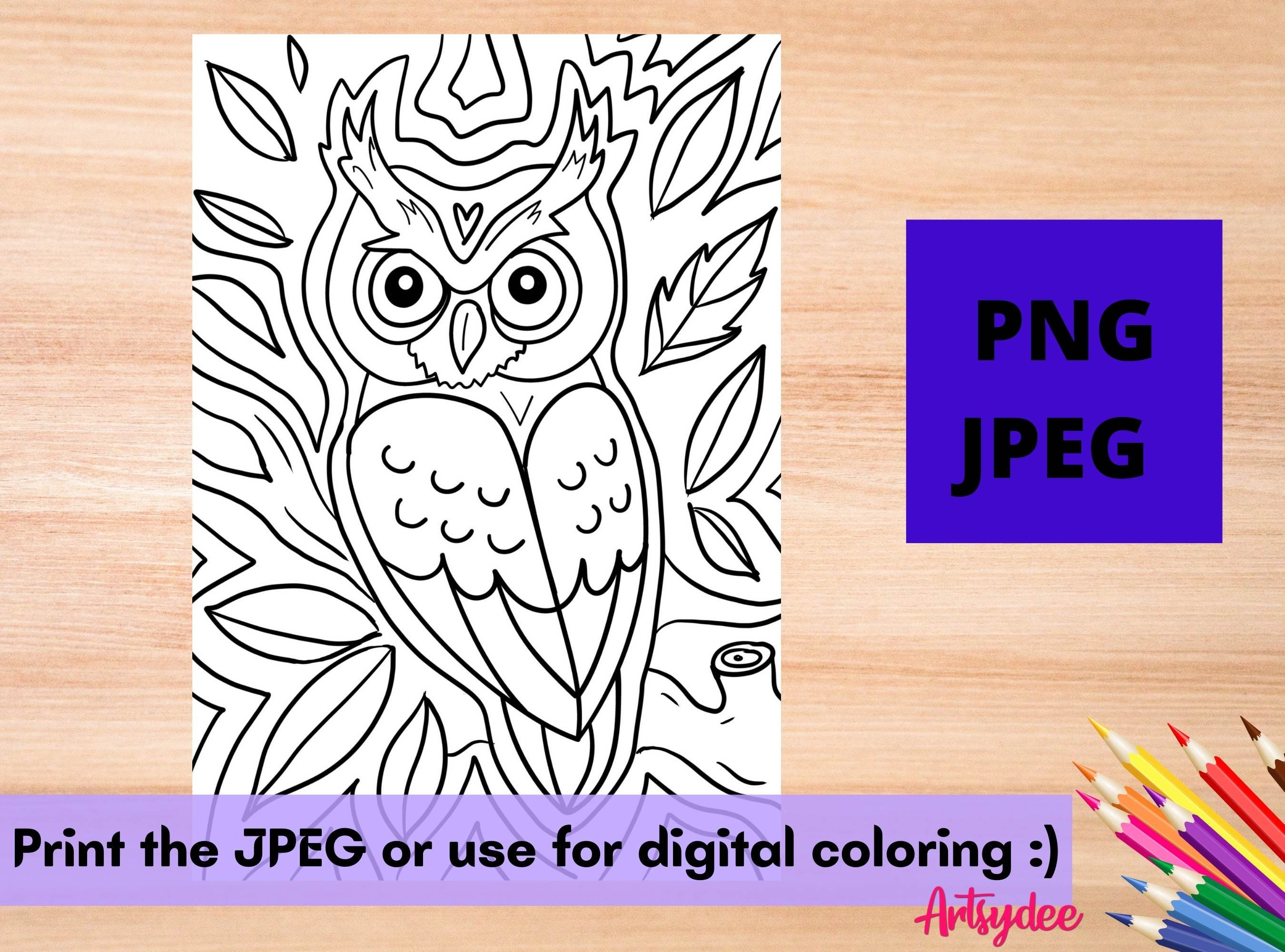 Procreate Coloring Pages, Owl Coloring Page, Adult Coloring, Coloring Pages, Digital Coloring, Print