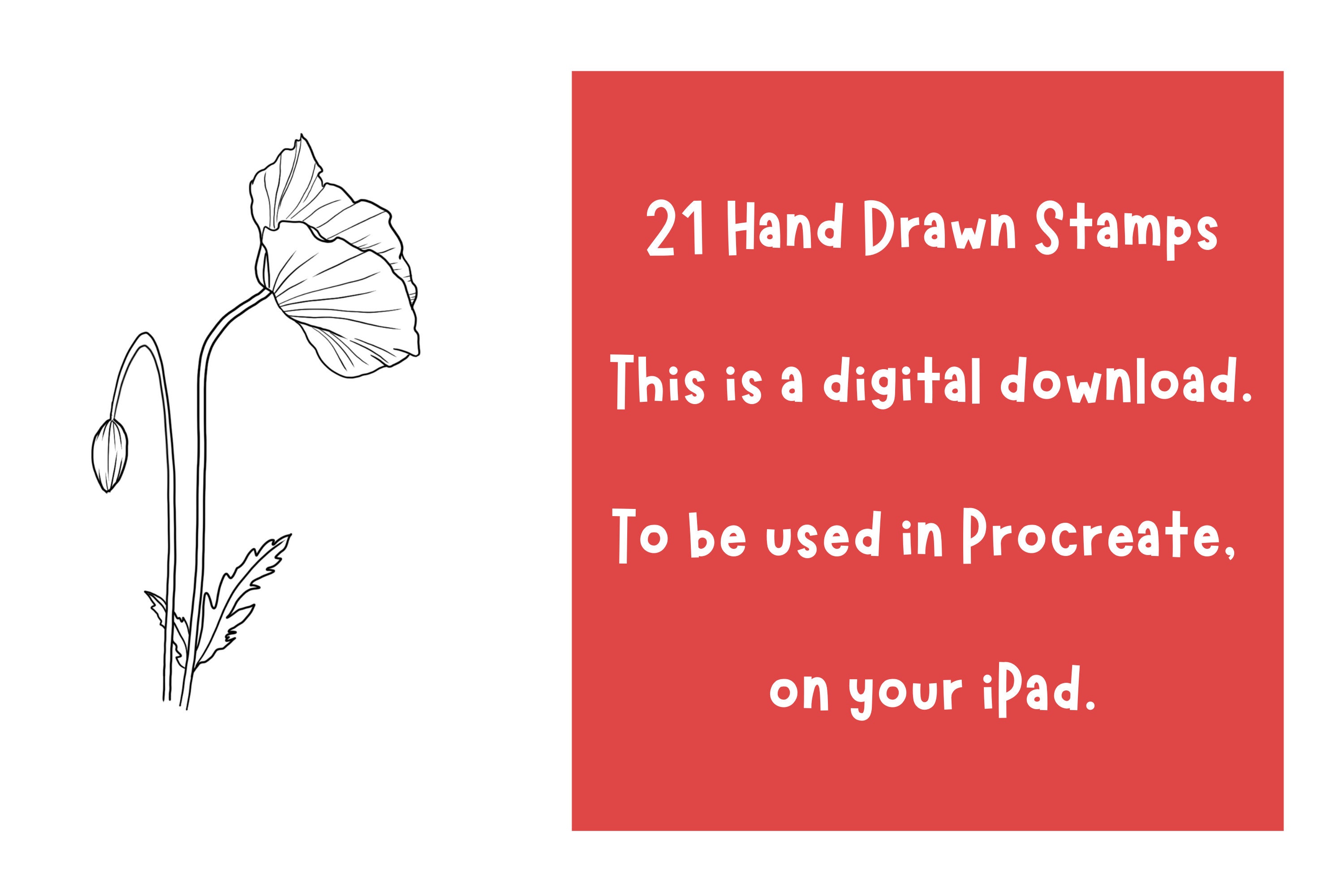 Flower Procreate Poppies Procreate Botanical Stamps Procreate Stamps flower-procreate-poppies-procreate-botanical-stamps-procreate-stamps