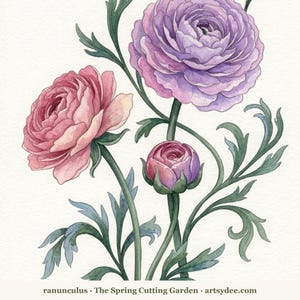 How to Paint Cottage Garden Flowers | 20 Printable Watercolour Templates + Video Lesson | Beginner Painting Outlines image 7