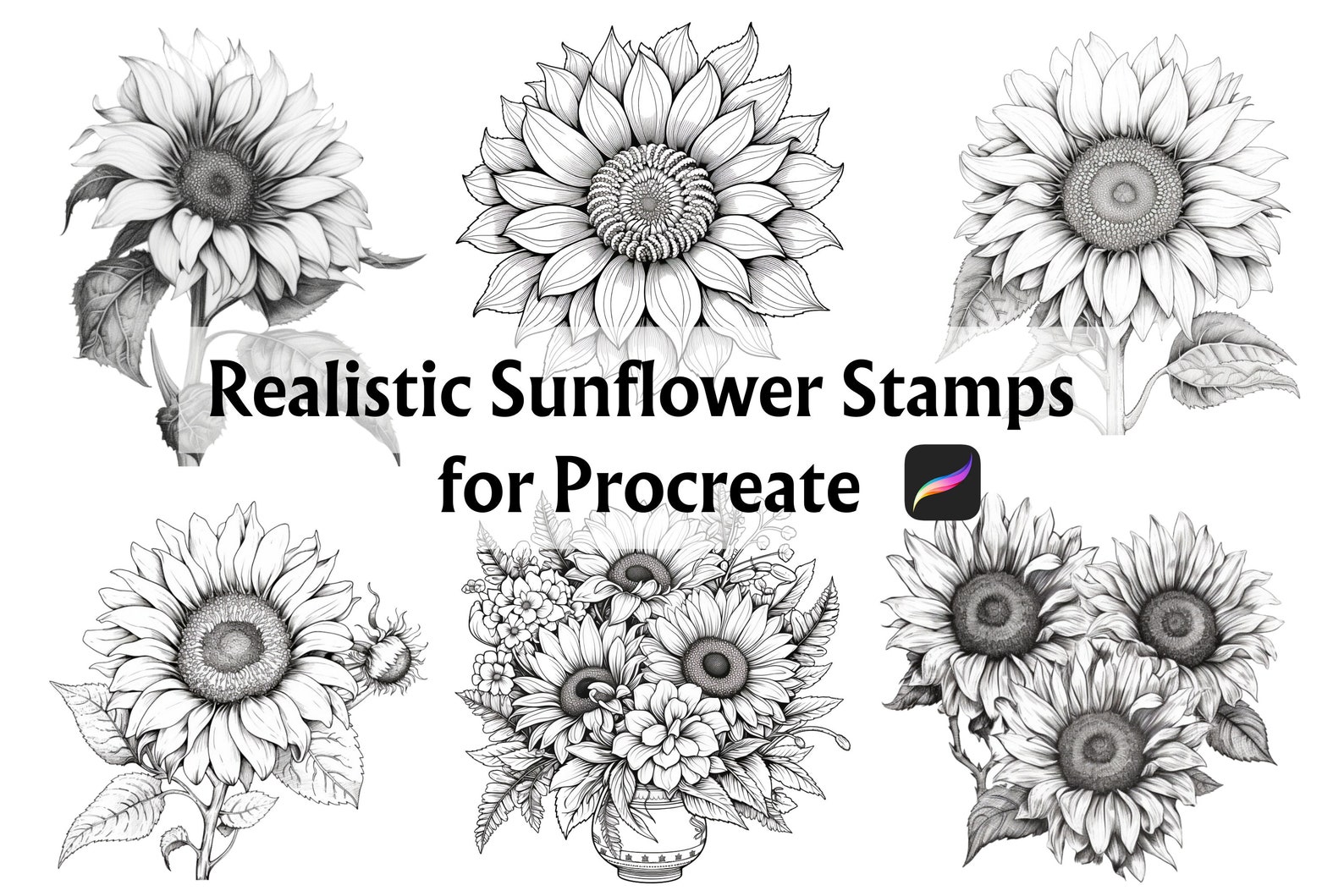 32 Realistic Sunflower Procreate Stamps, Sunflower Tattoo Flash ...