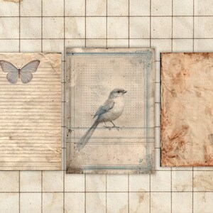 May include: Vintage-style collage featuring three aged paper elements. A butterfly illustration adorns the left, a bird illustration is in the center, and a blank paper on the right. The background is a grid pattern.