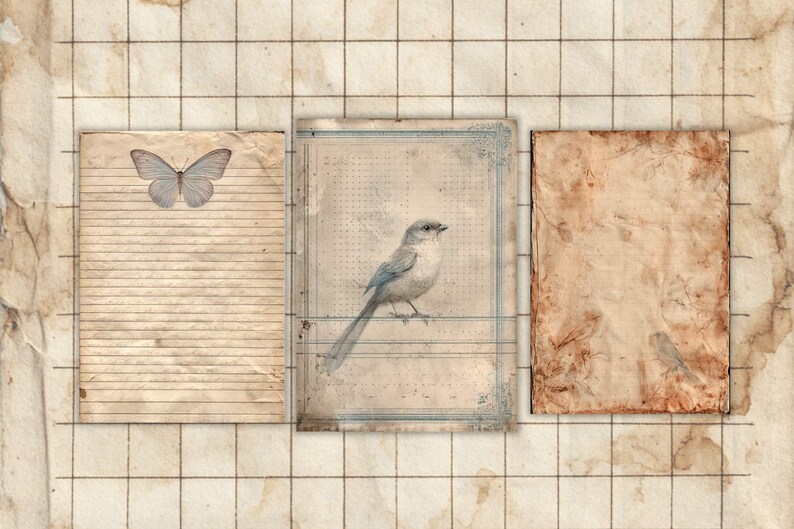 May include: Vintage-style collage featuring three aged paper elements. A butterfly illustration adorns the left, a bird illustration is in the center, and a blank paper on the right. The background is a grid pattern.