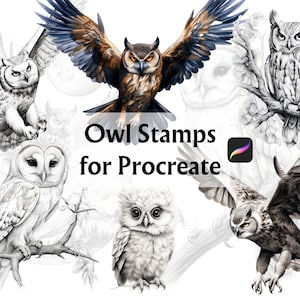 Eule Procreate Stempel, Eulen Stempel Pinsel, Procreate Stempel, Procreate Pinsel, Procreate Pinsel Set, Eulen Stempel, Eulen Tattoo, Procreate Tattoo
