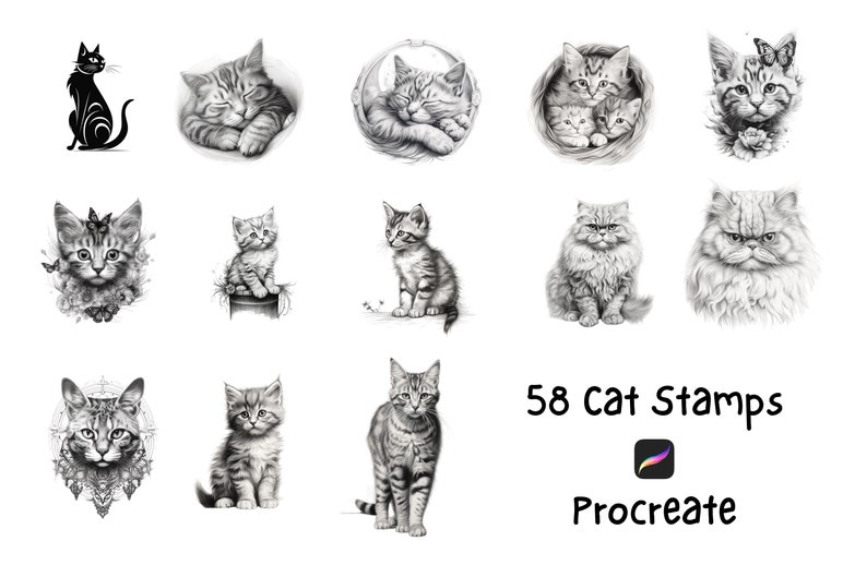 Cat Stamps Procreate, Cat Procreate Stamps, Procreate Cat, Procreate ...