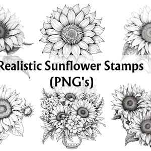 32 sellos de girasol realistas, contorno de girasol png, girasol png blanco y negro, tatuaje de girasol, sello de girasol, sello digi de girasol