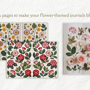 K&ouml;nnte beinhalten: Drei Seiten mit botanischen Vintage-Illustrationen mit verschiedenen Blumen. Die erste Seite zeigt eine Vielzahl von wei&szlig;en Blumen mit gelben Zentren. Die zweite Seite zeigt eine Vielzahl von rosa Blumen mit gr&uuml;nen Bl&auml;ttern. Die dritte Seite zeigt ein sich wiederholendes Muster aus rosa und roten Blumen mit gr&uuml;nen Bl&auml;ttern.