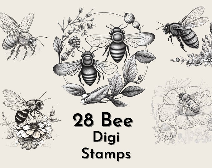 Honey Bee Clipart, Digital Stamps, Black and White Line Drawing ...