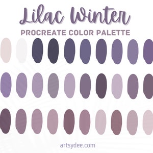 Procreate Boho Color Palette | Procreate Color Palette Winter | Digital Downloads | Color Swatches |  Procreate Color | Procreate Swatches