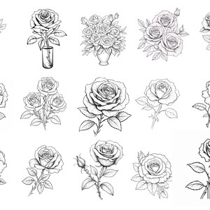 30 Rose Procreate Stamps, Floral Tattoo Brush Set for Ipad, Botanical ...