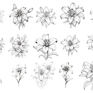 Pode incluir: Um conjunto de 16 desenhos de linha em preto e branco de l&iacute;rios. Os l&iacute;rios s&atilde;o desenhados em um estilo realista e apresentam detalhes intrincados. Os desenhos s&atilde;o perfeitos para uso em uma variedade de projetos criativos, como scrapbooking, cria&ccedil;&atilde;o de cart&otilde;es e design digital.