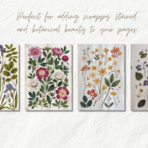 K&ouml;nnte beinhalten: Vier digitale Illustrationen von gepressten Blumen. Das erste Bild zeigt blaue und violette Iris. Das zweite Bild zeigt rosa und wei&szlig;e Pfingstrosen. Das dritte Bild zeigt gelbe und orangefarbene Blumen. Das vierte Bild zeigt eine Vielzahl von wei&szlig;en, rosa und violetten Blumen.