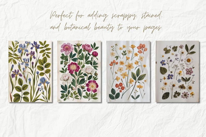 K&ouml;nnte beinhalten: Vier digitale Illustrationen von gepressten Blumen. Das erste Bild zeigt blaue und violette Iris. Das zweite Bild zeigt rosa und wei&szlig;e Pfingstrosen. Das dritte Bild zeigt gelbe und orangefarbene Blumen. Das vierte Bild zeigt eine Vielzahl von wei&szlig;en, rosa und violetten Blumen.