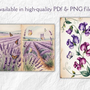 Może przedstawiać: Akwarelowe ilustracje p&oacute;l lawendy i kwiat&oacute;w groszku pachnącego z motylami. Grafika znajduje się na postarzanym papierze. Tekst "Available in high-quality PDF & PNG files!" znajduje się u g&oacute;ry.