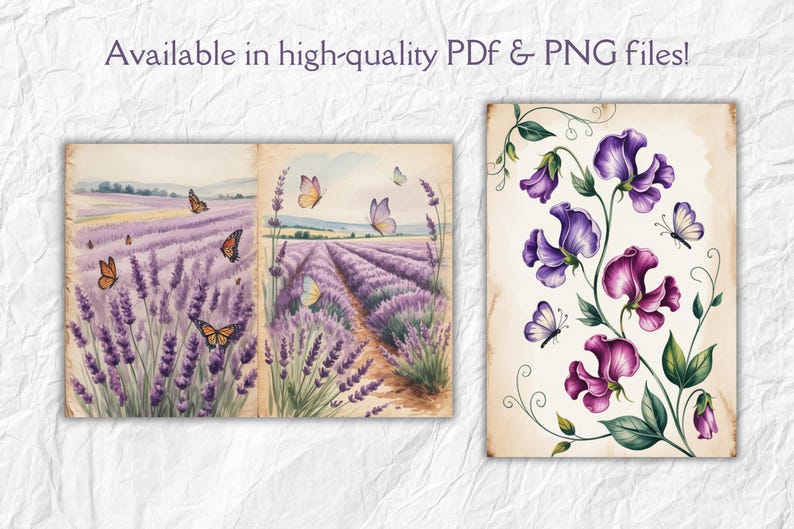 Może przedstawiać: Akwarelowe ilustracje p&oacute;l lawendy i kwiat&oacute;w groszku pachnącego z motylami. Grafika znajduje się na postarzanym papierze. Tekst "Available in high-quality PDF & PNG files!" znajduje się u g&oacute;ry.