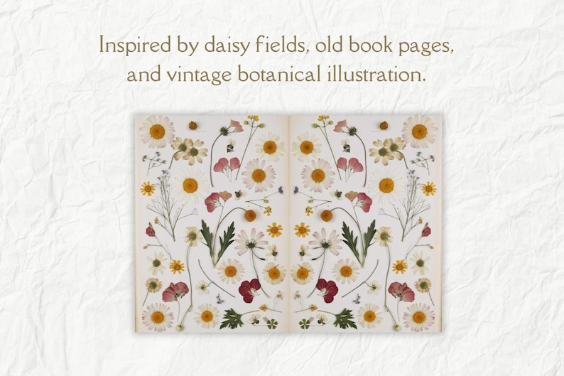 K&ouml;nnte beinhalten: Ein Vintage-Buch mit gepressten Blumen, darunter G&auml;nsebl&uuml;mchen, rosa und gelbe Blumen sowie gr&uuml;ne Bl&auml;tter. Die Blumen sind symmetrisch auf den Seiten angeordnet.