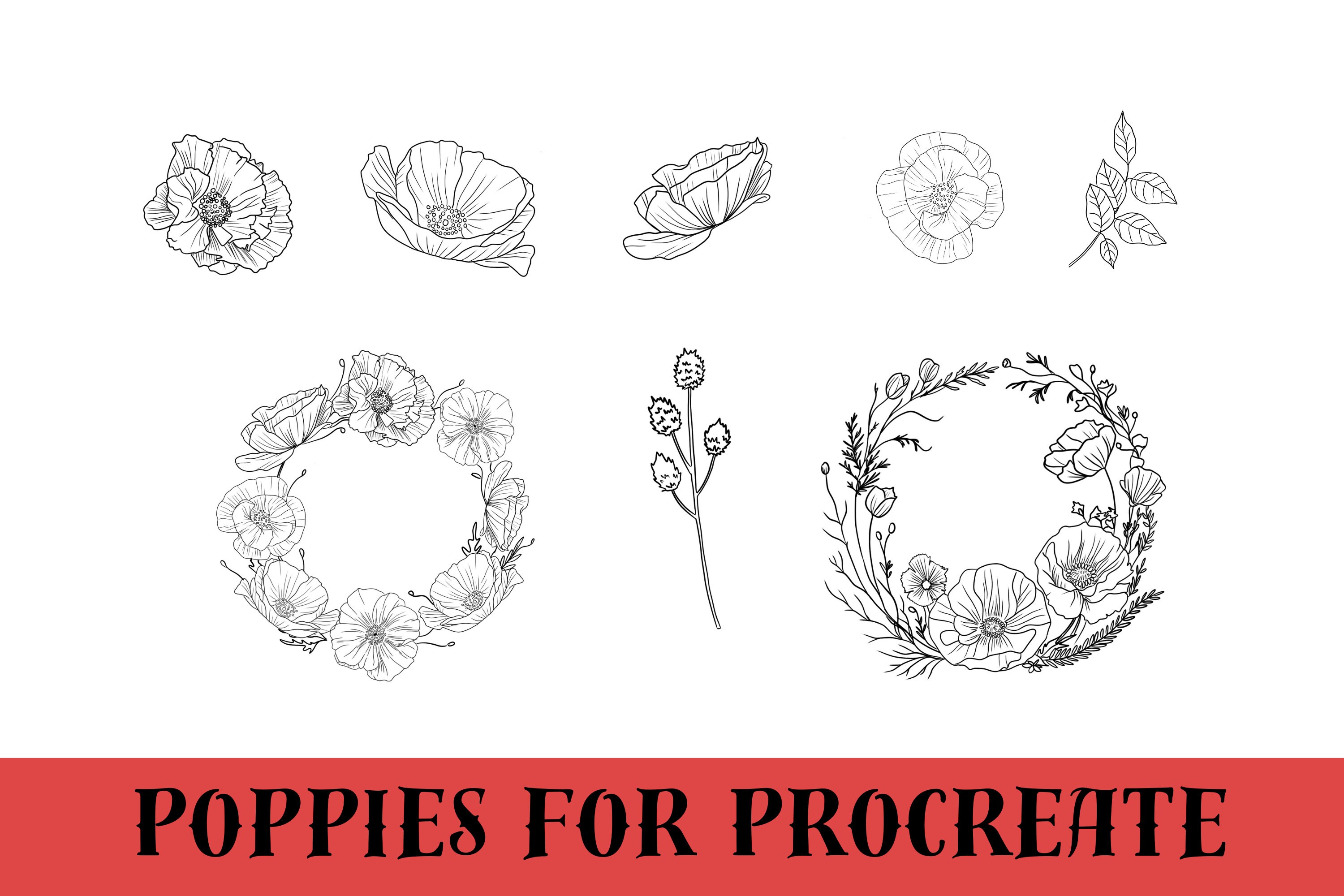 Flower Procreate, Poppies, Procreate Botanical Stamps, Procreate Stamps ...