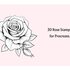 30 Rose Procreate Stamps, Floral Tattoo Brush Set for Ipad, Botanical ...