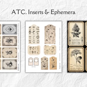 K&ouml;nnte beinhalten: ATC, Inserts & Ephemera. Eine Sammlung von Papier-Ephemera im Vintage-Stil mit botanischen Illustrationen, Schnecken und Pilzmotiven. Die Designs sind auf gealtertem Papier gedruckt, perfekt f&uuml;r Scrapbooking- und Bastelprojekte.