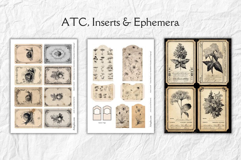 K&ouml;nnte beinhalten: ATC, Inserts & Ephemera. Eine Sammlung von Papier-Ephemera im Vintage-Stil mit botanischen Illustrationen, Schnecken und Pilzmotiven. Die Designs sind auf gealtertem Papier gedruckt, perfekt f&uuml;r Scrapbooking- und Bastelprojekte.