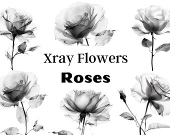 Xray Flowers PNG, Xray flower PNG, Flower png, Rose Png for Tumbler, Rose Xray, Rosas pretas e brancas, Rose Clipart, Black Rose, Card making