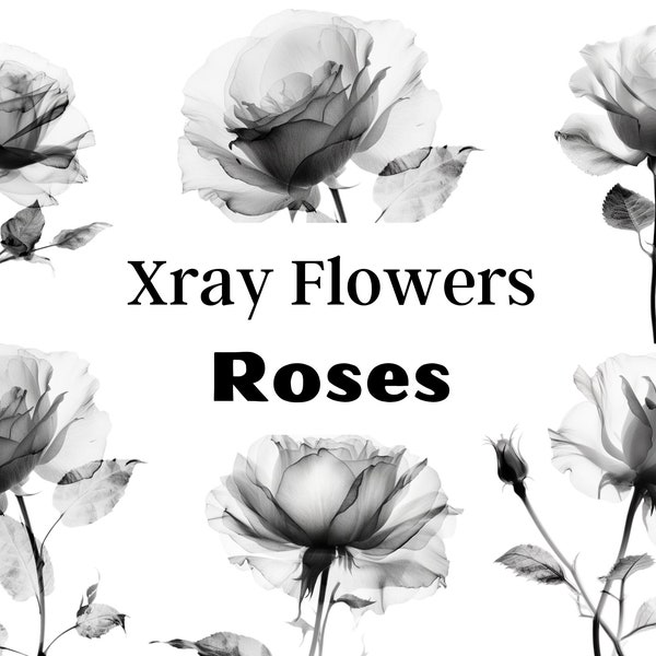 Xray Flowers PNG, Xray flower PNG, Flower png, Rose Png for Tumbler, Rose Xray, Black and White Roses, Rose Clipart, Black Rose, Card making