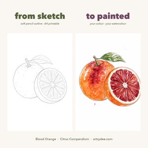 Compêndio de Cítricos - Modelos em Aquarela: 20 Frutas Cítricas Imprimíveis + Cartões de Receitas Coloridos (PDF A4 + PNG) imagem 3