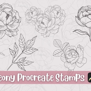Procreate Peony Stamps, Peony Brushes, Procreate Brushes,  Floral Tattoo, Procreate Flowers, Peony Digital Stamps, Peony Procreate, Flowers