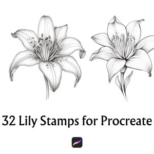 Pode incluir: Um conjunto de 32 carimbos de flores de l&iacute;rio em preto e branco para Procreate, um aplicativo de arte digital. Os carimbos s&atilde;o projetados para serem usados para criar arte digital e ilustra&ccedil;&otilde;es.