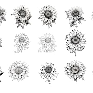 32 Realistic Sunflower Procreate Stamps, Sunflower Tattoo Flash ...
