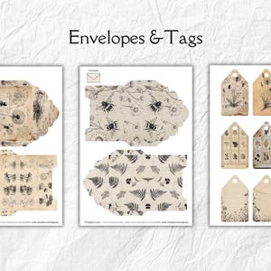 K&ouml;nnte beinhalten: Gedruckte Papierephemera mit Umschl&auml;gen und Etiketten. Die Umschl&auml;ge haben botanische und wissenschaftliche Illustrationen. Die Etiketten zeigen botanische Zeichnungen und Muster. Der Text "Envelopes & Tags" steht oben.