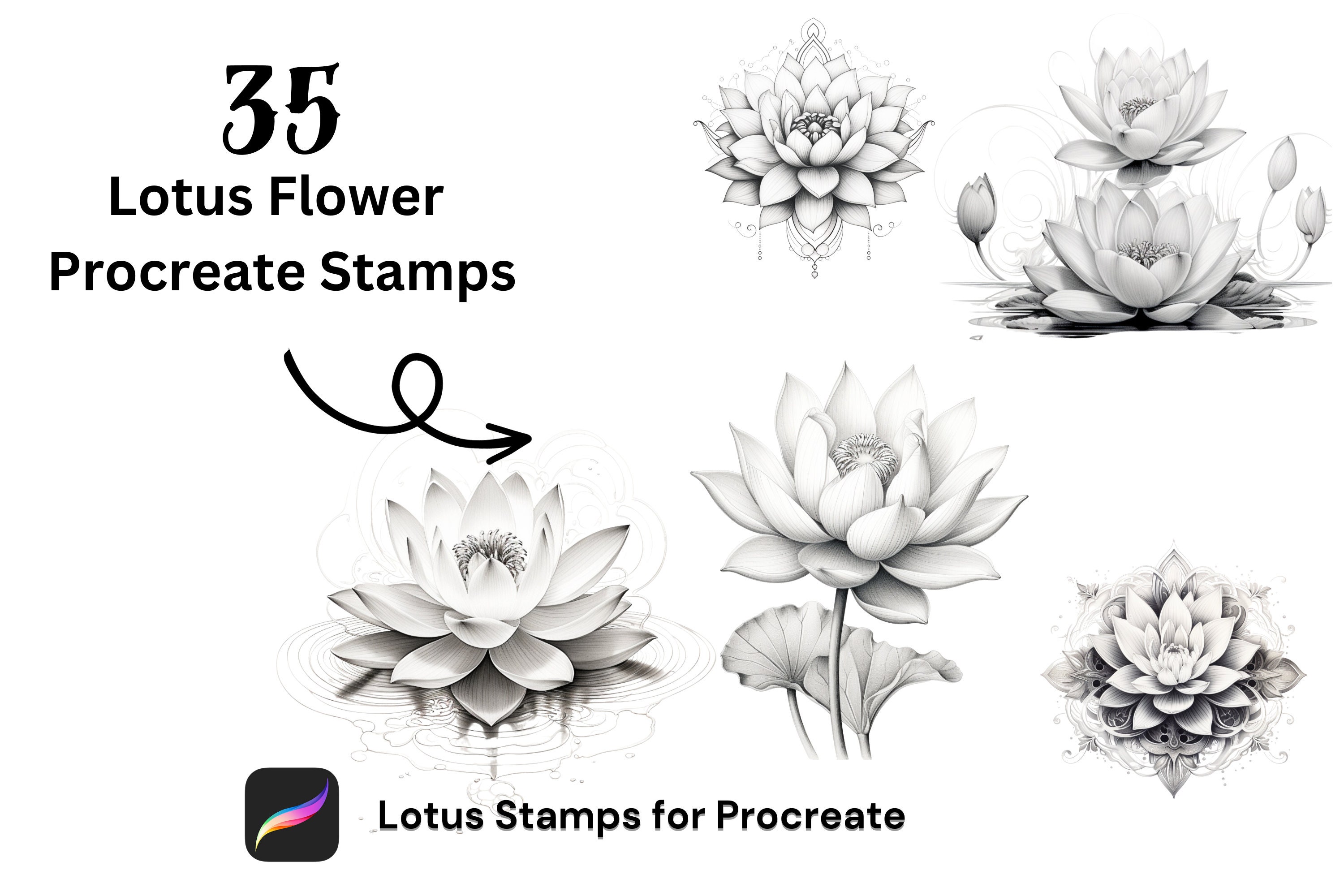 30 Lotus Flower Procreate Stamps, Lotus Procreate, Procreate Brushes ...