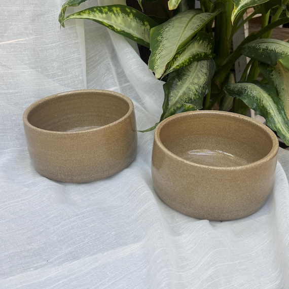 Stoneware Dog Bowl Set