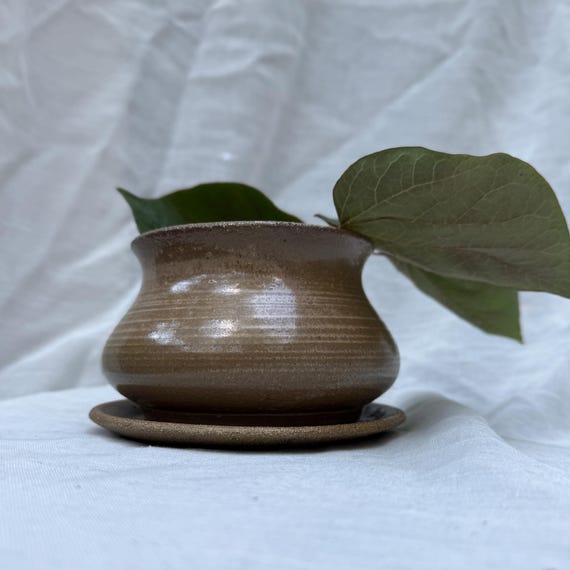Small Planter With Drip Tray