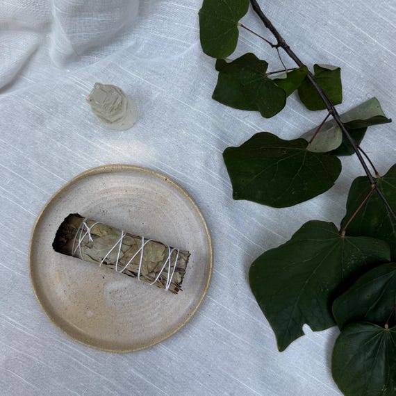 Stoneware Small 6” Plate