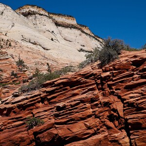 Adventurous Photographer mountains  Zion National Park, summer, abstract shapes, bright colors, Utah mountains, magnificent views