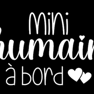Car Sticker Baby on board Little human on board heart