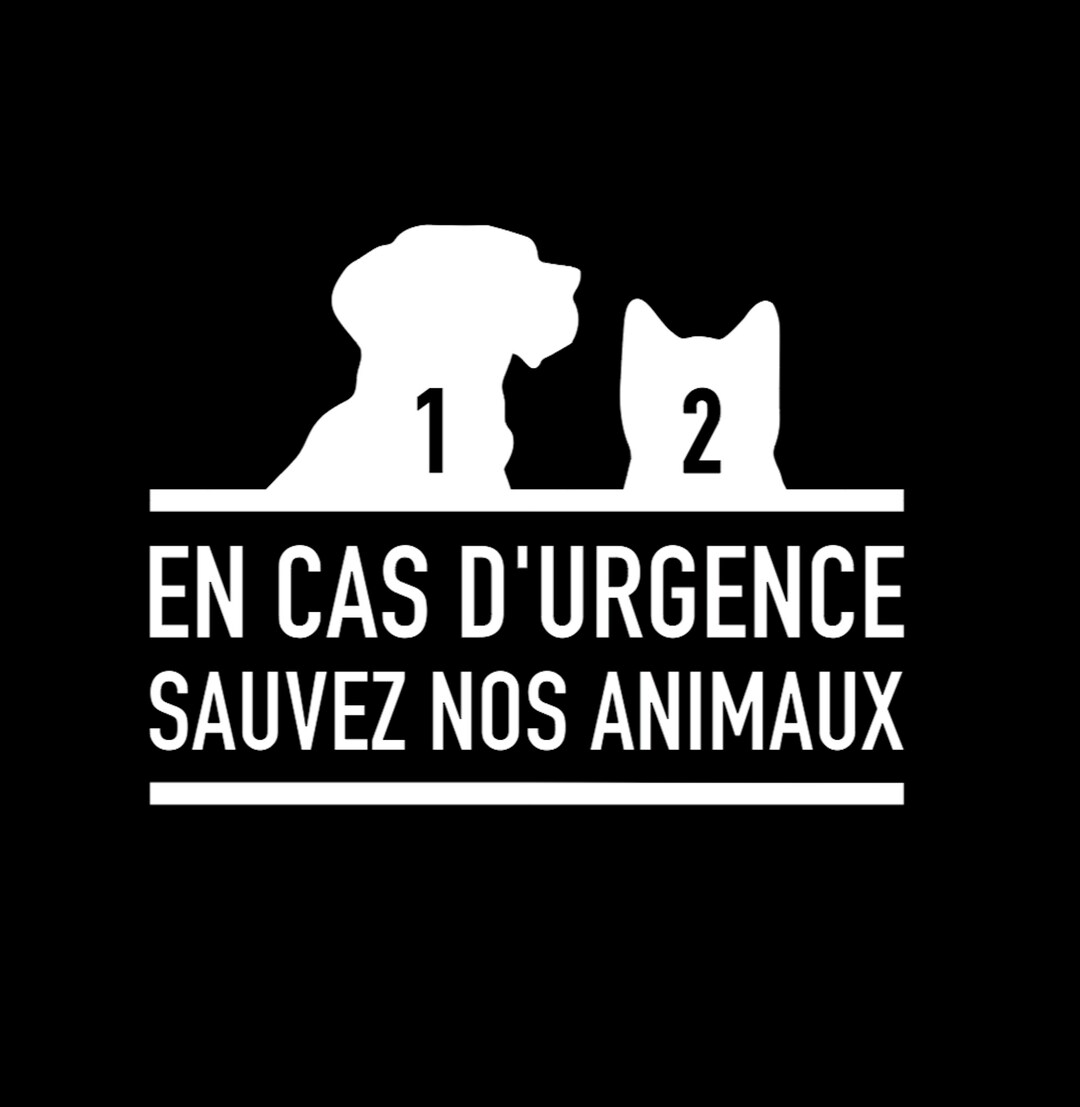 Save Dog Sticker Car Sticker Save Our Pets - Etsy