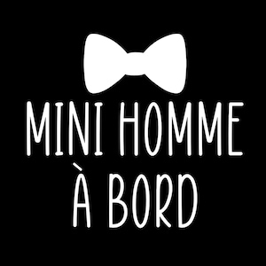 Car sticker Little Men on Board