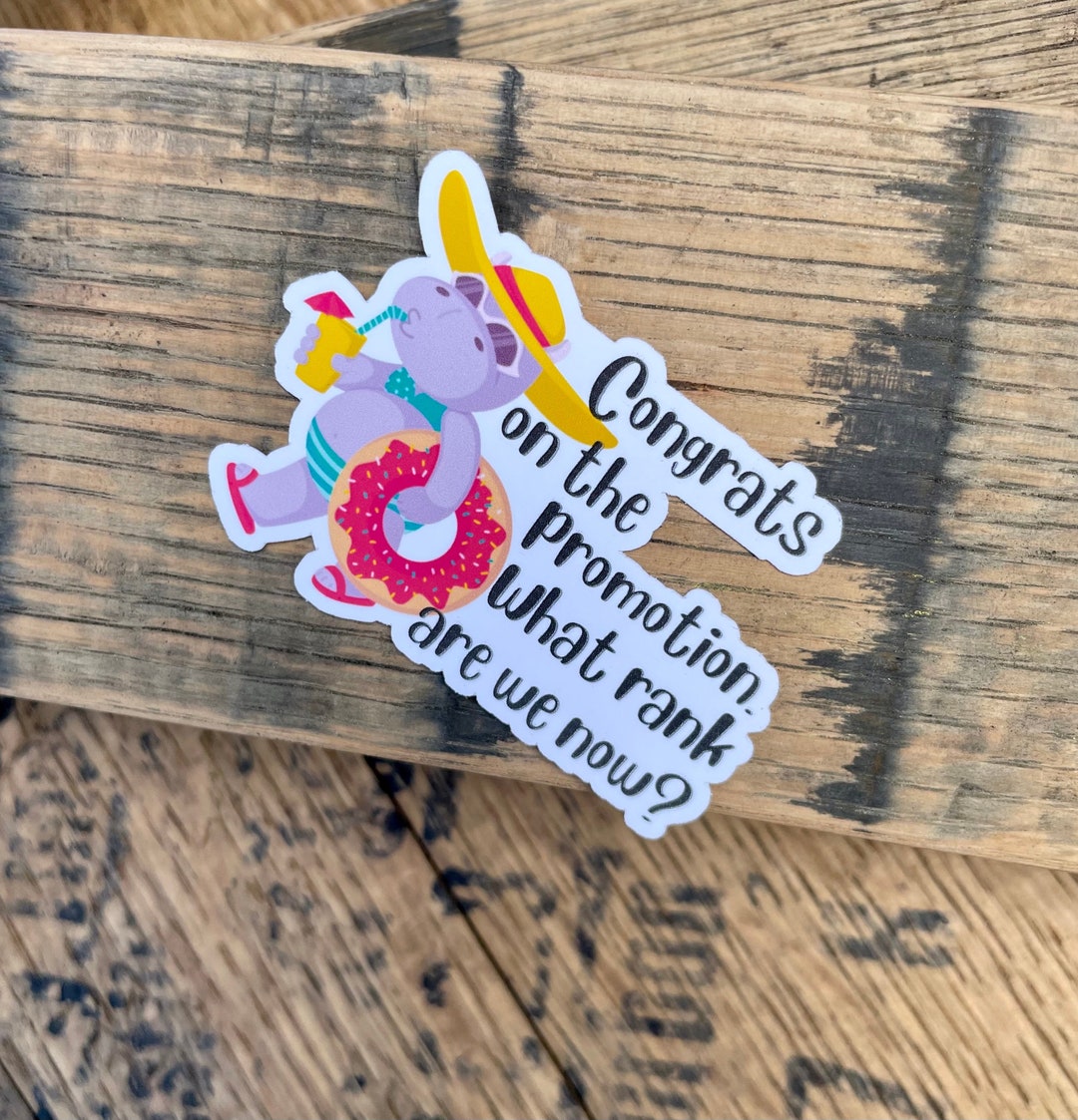 Congrats on the Promotion. What Rank Are We Now Military Spouse Joke