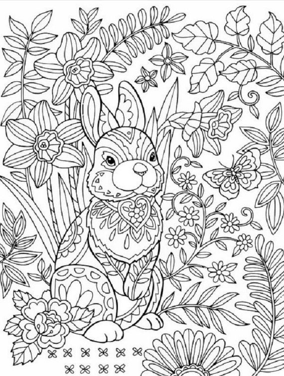 Wildlife Coloring Pages Set B | Etsy
