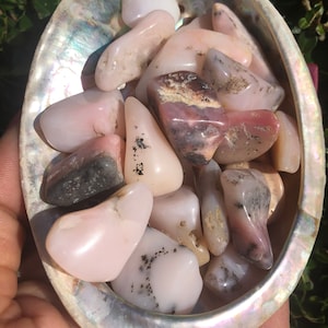 May include: A collection of pink and gray tumbled stones with black flecks, displayed in a white abalone shell.
