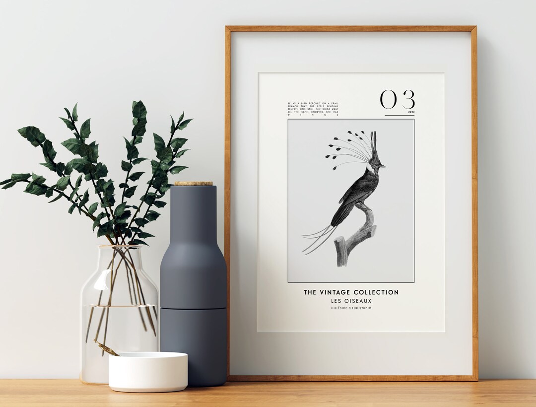 Bird Wall Art Black and White Art Bird Print Digital Download Bird